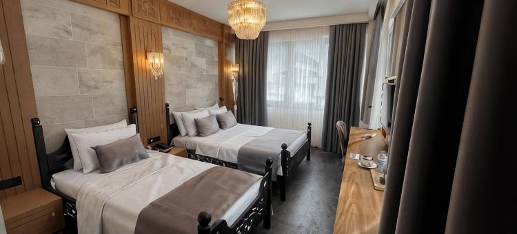 图里斯蒂克帕拉斯酒店(Turistik Palas Hotel)图片