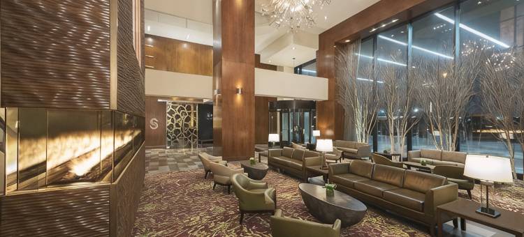渥太华威斯汀酒店(The Westin Ottawa)图片