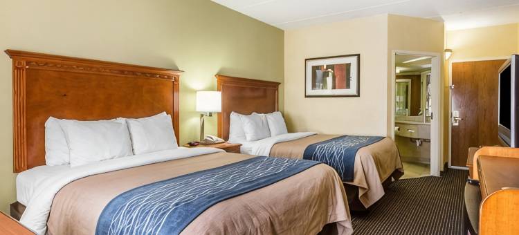 汉密尔顿广场舒适套房酒店(Comfort Inn & Suites Hamilton Place)图片
