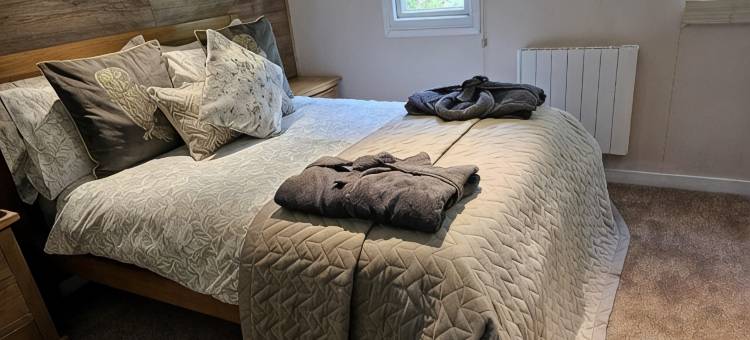 花楸树什罗普郡配有热水浴缸的林间静居山林小屋(Rowan Tree Lodge with Hot Tub, a beautiful Woodland Retreat in Shropshire)图片
