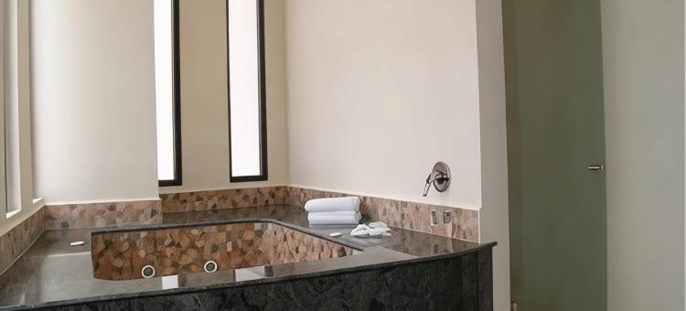 韦拉克鲁斯-博卡德尔里奥假日酒店(Holiday Inn VERACRUZ BOCA DEL RIO by IHG)图片