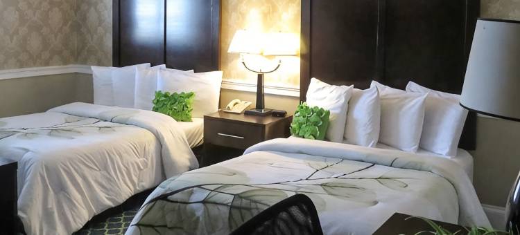 波士顿洛根机场罗德威旅馆(Rodeway Inn Logan International Airport)图片