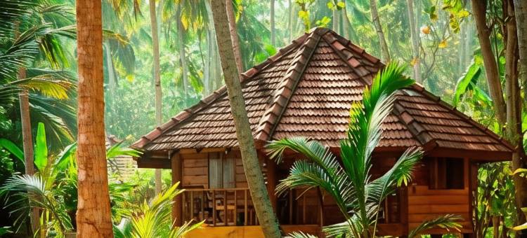 唐加勒棕榈天堂小屋及别墅海滩度假村(Palm Paradise Cabanas & Villas Beach Resort)图片
