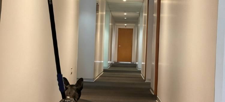 利马市温德姆科斯塔朗晴酒店(Costa del Sol Wyndham Lima City)图片