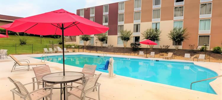 亚特兰大坎伯兰/盖勒里亚贝斯特韦斯特酒店(Best Western Atlanta Cumberland/Galleria Hotel)图片