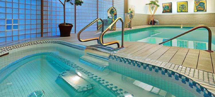 温哥华机场丽笙酒店(Radisson Hotel Vancouver Airport)图片