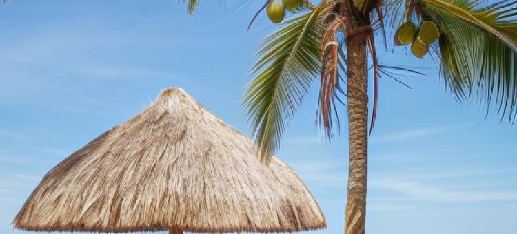 乌塔塔卡生态酒店(Uuttaaka Eco-Hotel)图片