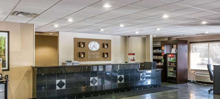 舒适套房酒店(Comfort Suites)图片