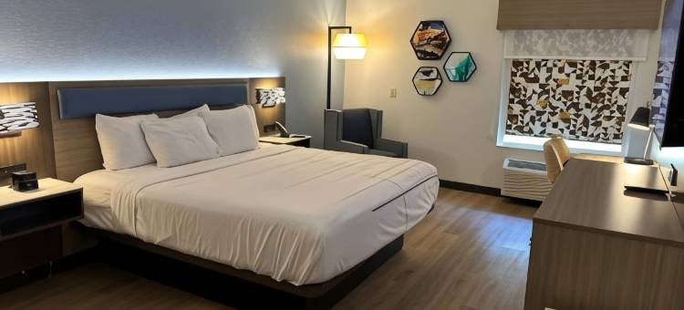 梅肯西拉昆塔温德姆套房酒店(La Quinta Inn & Suites by Wyndham Macon West)图片