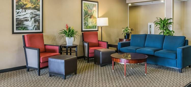 舒适套房酒店(Comfort Suites)图片