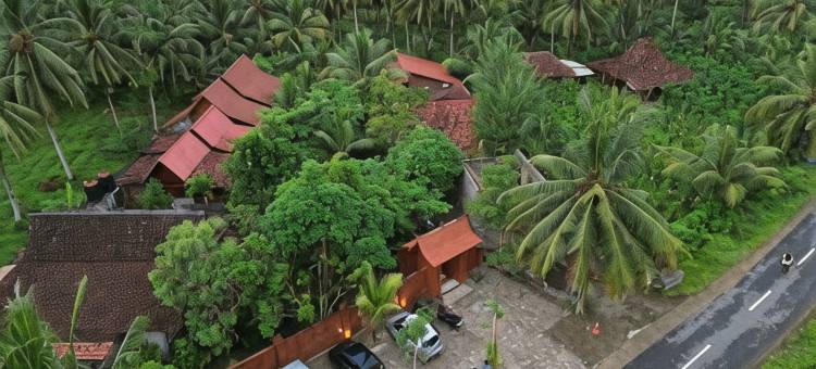 Java Turtle Lodge Meru Betiri图片