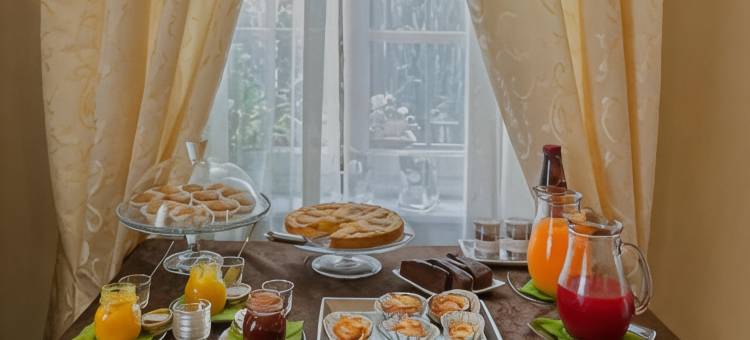 含羞草 B & B(B&B la Mimosa)图片