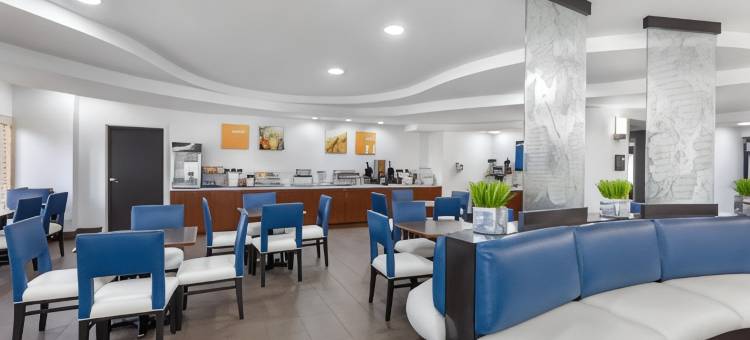 舒适套房酒店-DFW N/葡萄藤(Comfort Suites DFW N-Grapevine)图片