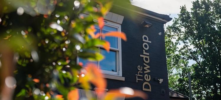 露珠酒店(The Dewdrop Inn)图片