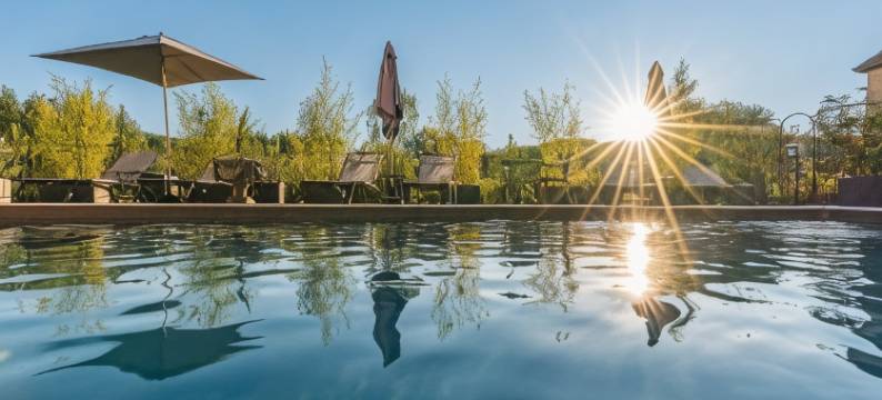 莱从费里曼旅馆(Hostellerie du Passeur - Hôtel & Restaurant - Climatisation et Piscine chauffée)图片