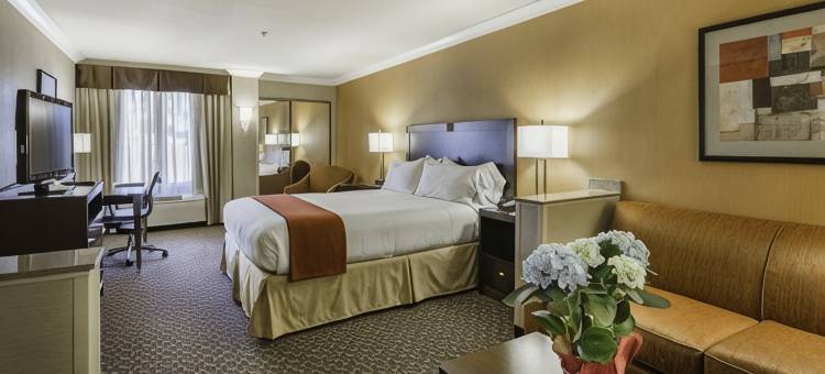 卡斯特罗谷智选假日酒店(Holiday Inn Express Castro Valley)图片