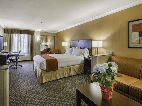 卡斯特罗谷智选假日酒店