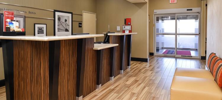 范霍恩欢朋酒店(Hampton Inn Van Horn)图片