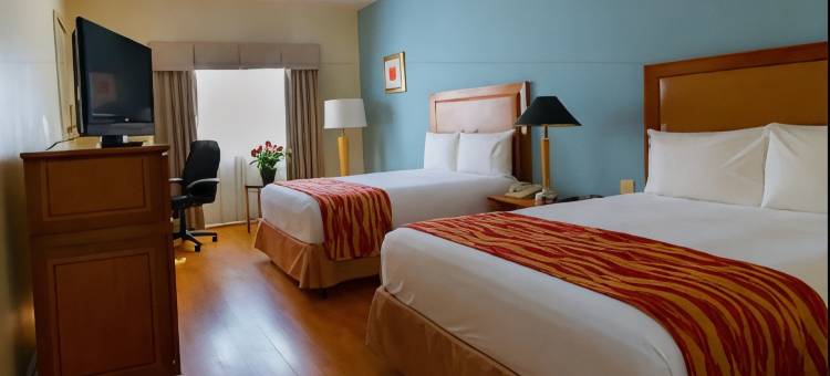 南迈阿密-科勒尔盖布尔斯罗德威旅馆(Rodeway Inn South Miami - Coral Gables)图片