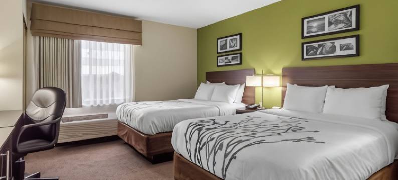 安眠套房酒店(Sleep Inn & Suites)图片