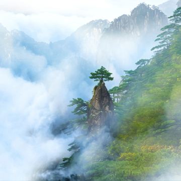 黄山风景区2日1晚跟团游
