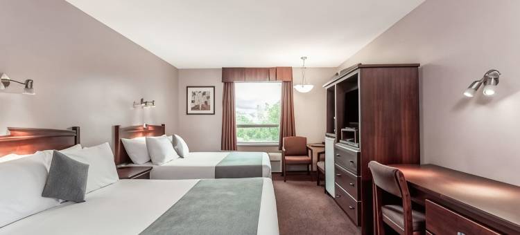 乡村湖-温菲尔德地区速8酒店(Super 8 by Wyndham Lake Country/Winfield Area)图片