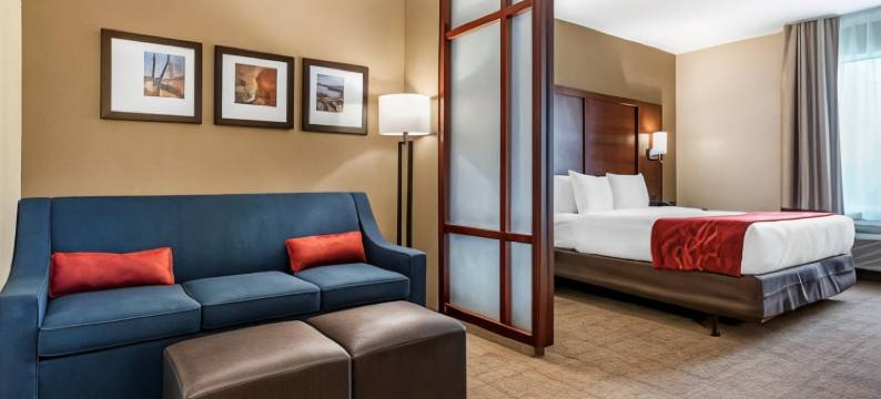 机场舒适套房酒店(Comfort Suites Airport)图片