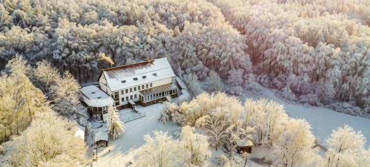 哈斯莱西登斯酒店(Hotel Harzresidenz)图片