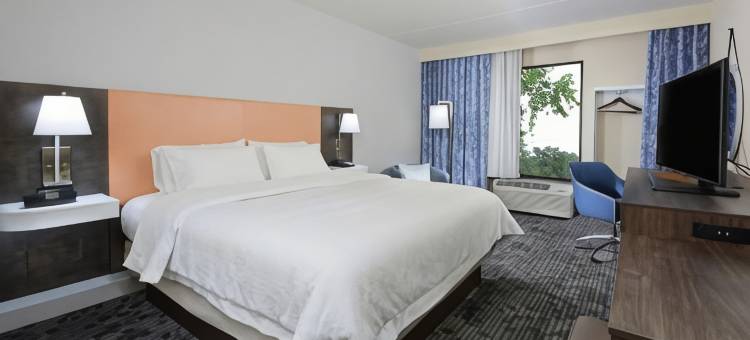 格林维尔/斯巴坦堡I-85希尔顿欢朋旅馆&套房酒店(Hampton Inn & Suites Greenville/Spartanburg I-85)图片