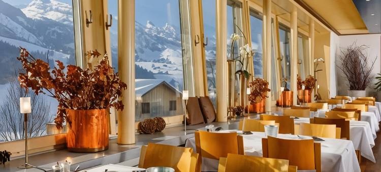 赫斯臣维尔德豪斯酒店(Hotel Hirschen Wildhaus)图片