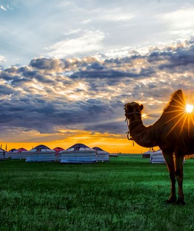 5D4N • Hohhot + Wulanhada Volcano Geopark + Huitengxile Grassland + Whistling Dune Bay