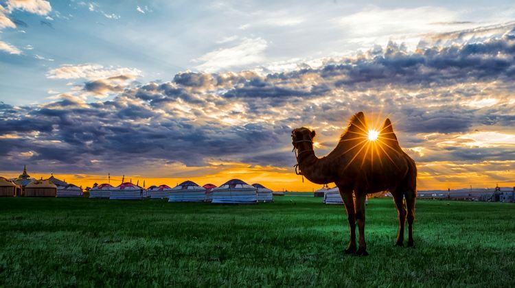 5-Day Hohhot + Wulanhada Volcano Geopark + Huitengxile Grassland + Whistling Dune Bay