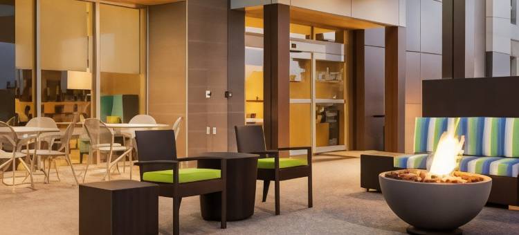 西埃德蒙顿希尔顿惠庭套房酒店(Home2 Suites by Hilton West Edmonton)图片