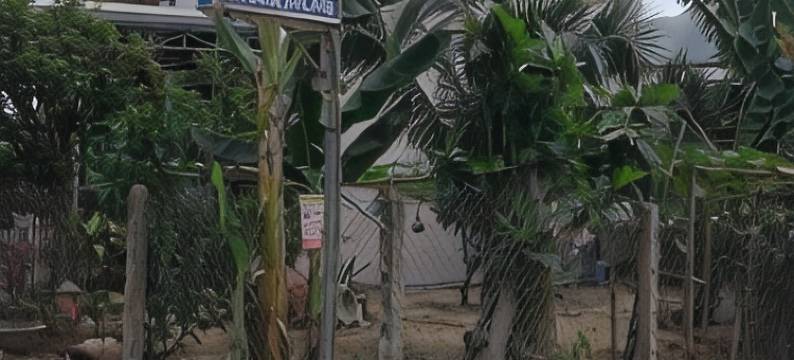 米萨旅馆(Misa Guesthouse)图片