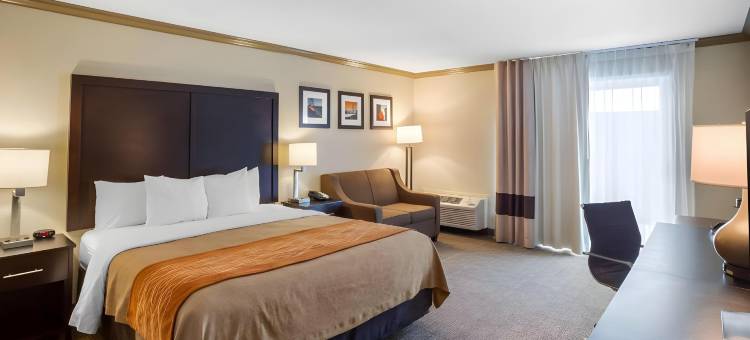 卡斯特罗谷舒适酒店(Comfort Inn Castro Valley)图片