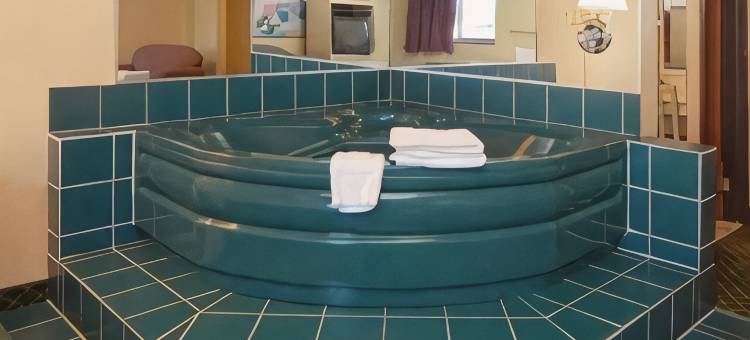 品质酒店及套房底特律大都会机场(Quality Inn & Suites Detroit Metro Airport)图片