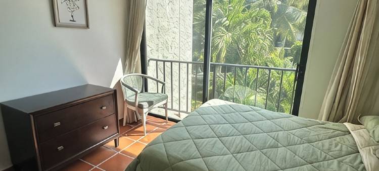 棕榈树湾-海滨;绝美部分海景民宿!(Palm Tree Cove - Stunning Partial Ocean Views; Beachfront Location!)图片