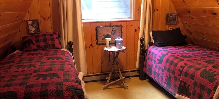 阿迪朗达克山脉温馨,僻静滨水山林小屋. 宠物友好(Cozy,secluded waterfront lodge nestled in the Adirondack Mountains. Pet friendly)图片