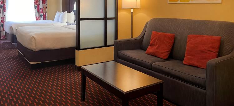 舒适套房酒店(Comfort Suites)图片