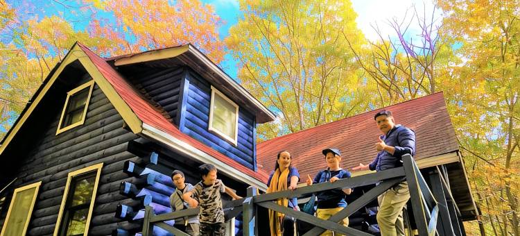 Private Cabin-Perfect for families, large groups!图片
