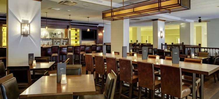 奥兰多希尔顿博伟湖酒店 - 迪斯尼泉™区(Hilton Orlando Lake Buena Vista - Disney Springs™ Area)图片