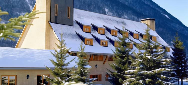 阿蒂斯酒店(Parador de Arties)图片