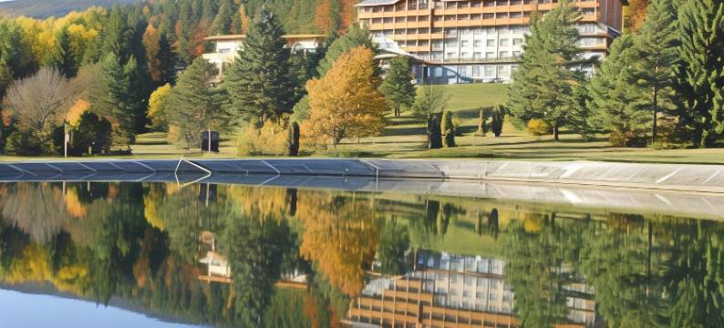 帕提赞酒店(Hotel Partizán)图片