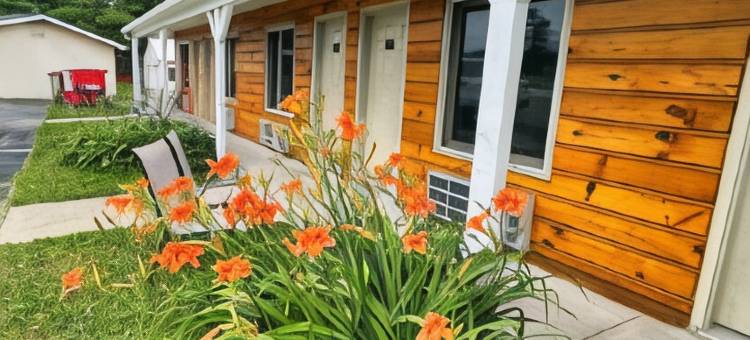 阿尔及尔瀑布汽车旅馆(Alger Falls Motel)图片