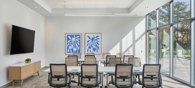 亚特兰大周边中心Element酒店(Element Atlanta Perimeter Center)图片