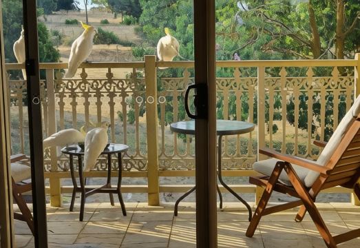 Amble at HahndorfHotel Overview