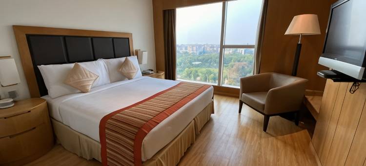 德里斯维尔特-丽笙精选旗下(Svelte Delhi, A Member of Radisson Individuals)图片