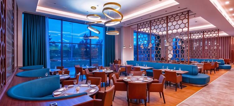 Accom Hotels Sivas图片