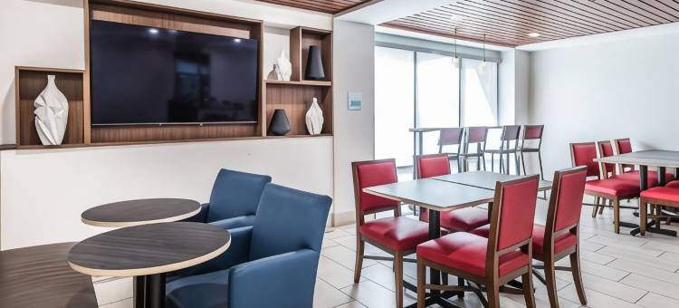 Holiday Inn Express 火石校园面积(Holiday Inn Express Flint-Campus Area)图片