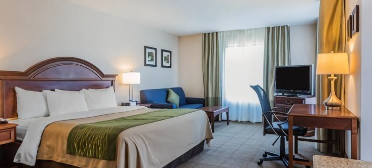 伯灵顿南舒适套房酒店(Comfort Inn & Suites)图片